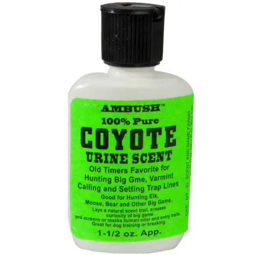 Coyote Urine Lure