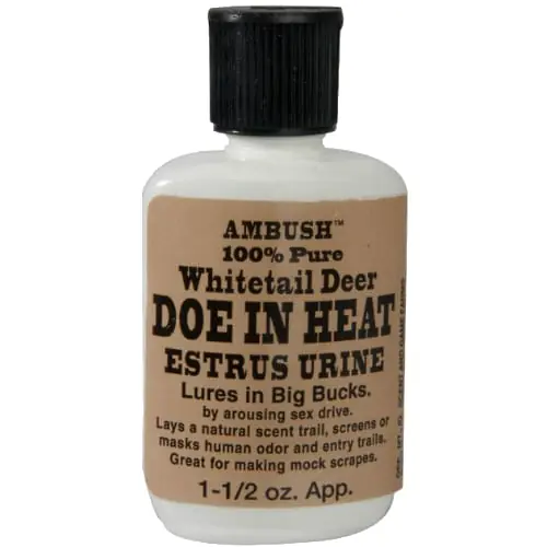 Mule Deer Doe in Heat Lure