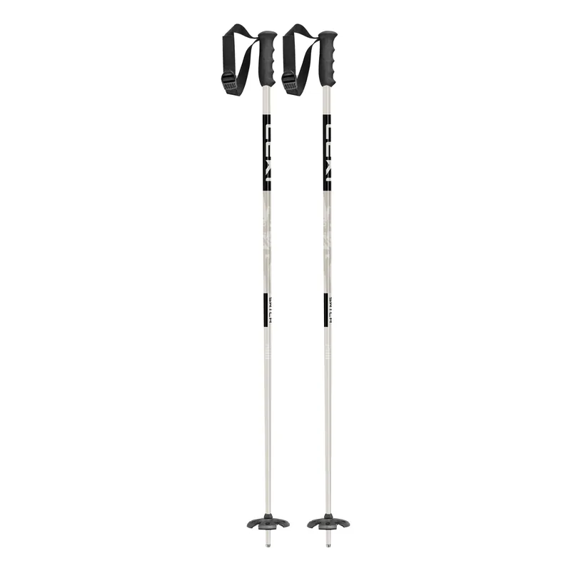 SWTCH Pow Ski Poles