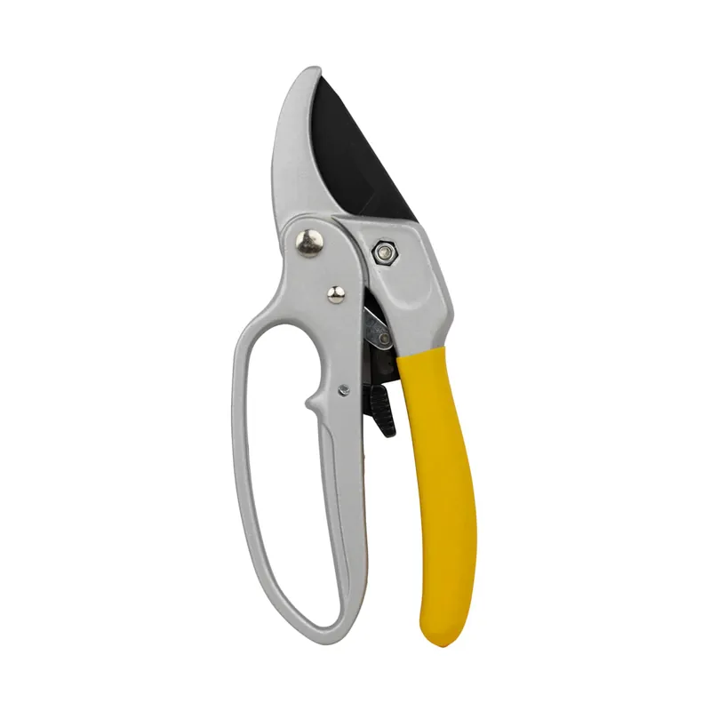 Ratcheting Pruner
