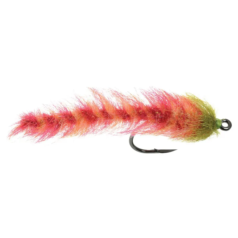 Chili Pepper Worm Fly