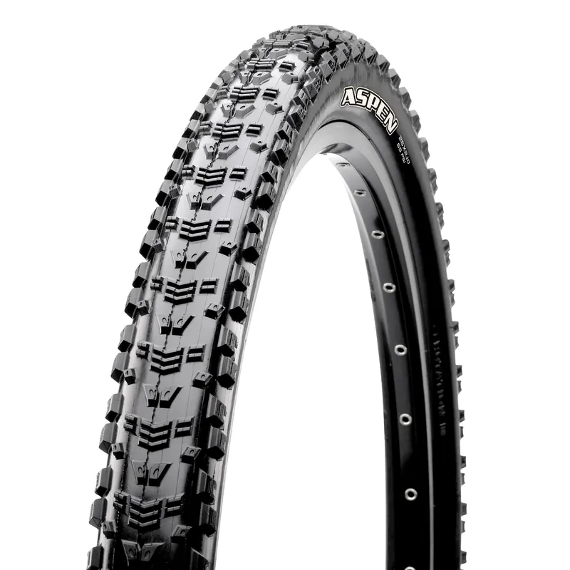 Aspen Mountain Bike Tire