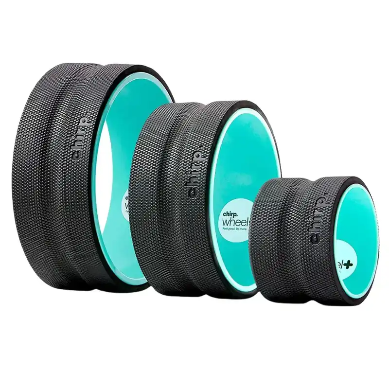 Wheel+ (3-pack)