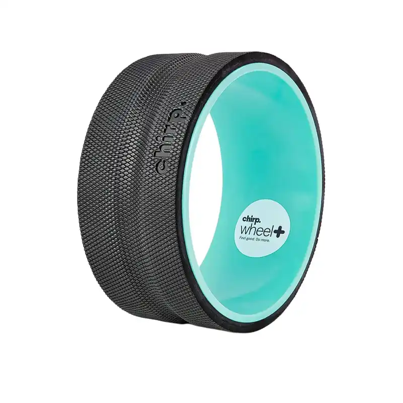 10" Wheel+