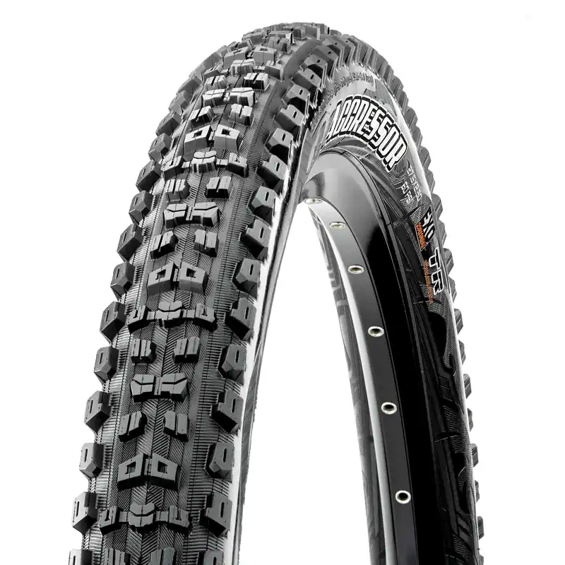 Aggressor Mountain Bike Tire