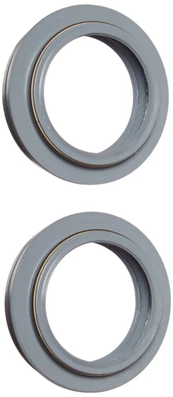 Dust Seal Ring Kit