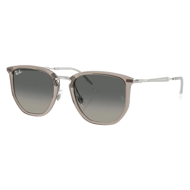 RB4451 Sunglasses