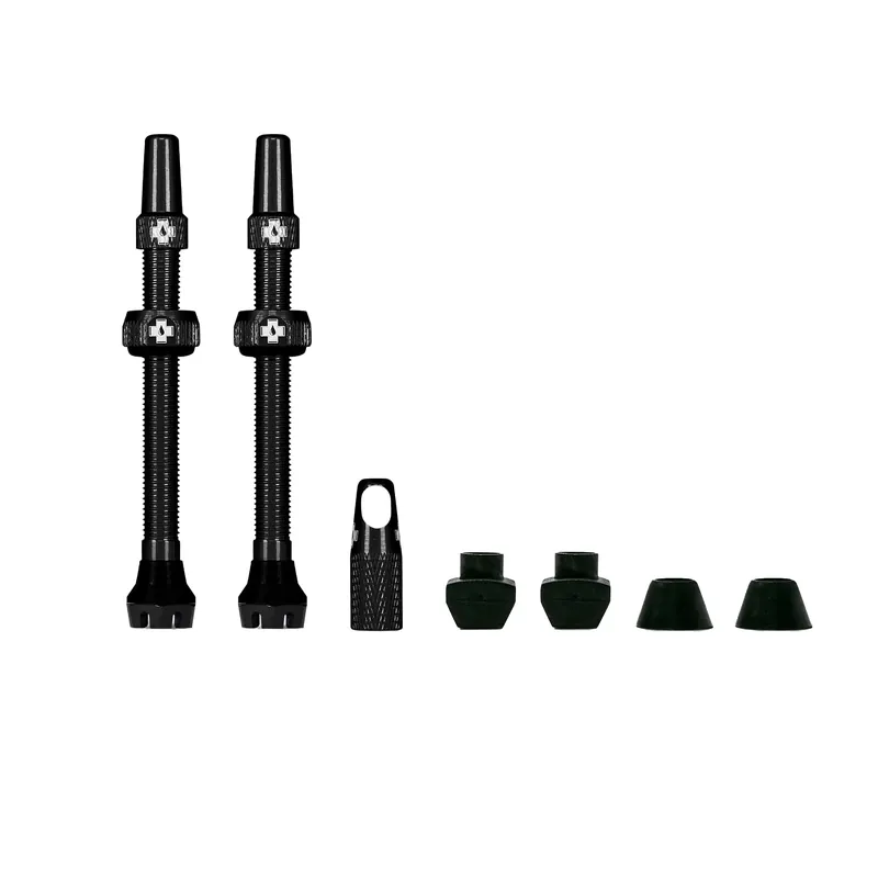 Tubeless Valves V2 Tubeless Kit