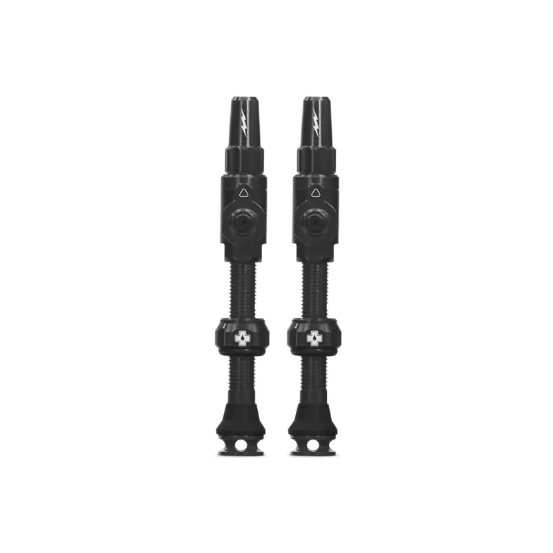 Big Bore Lite Tubeless Valves