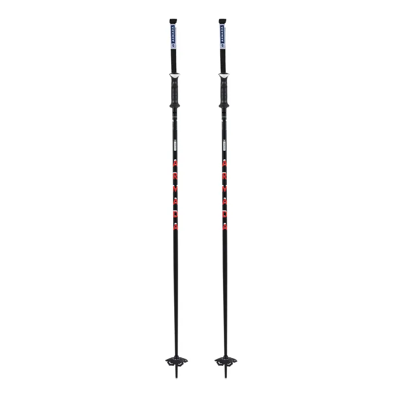 Triad BB Ski Poles