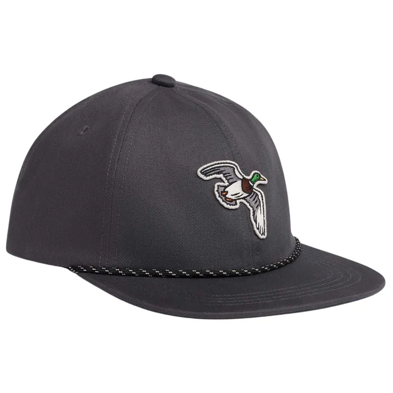 Species Unstructured Snapback