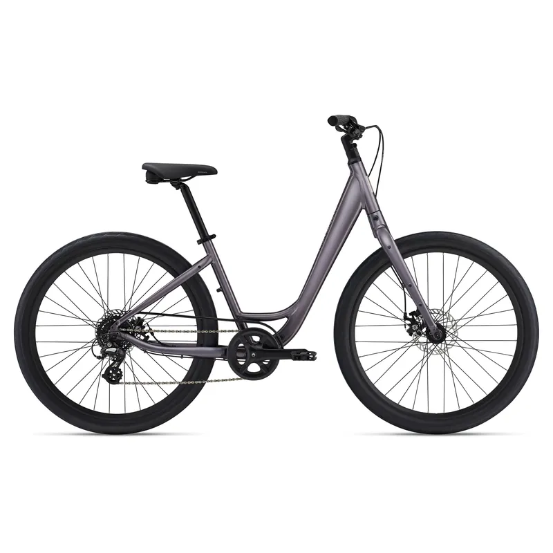 Vida Low-Step Bike - 2026