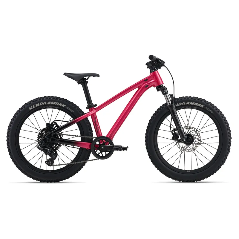 STP 20 FS Bike 2026 - Kids‘