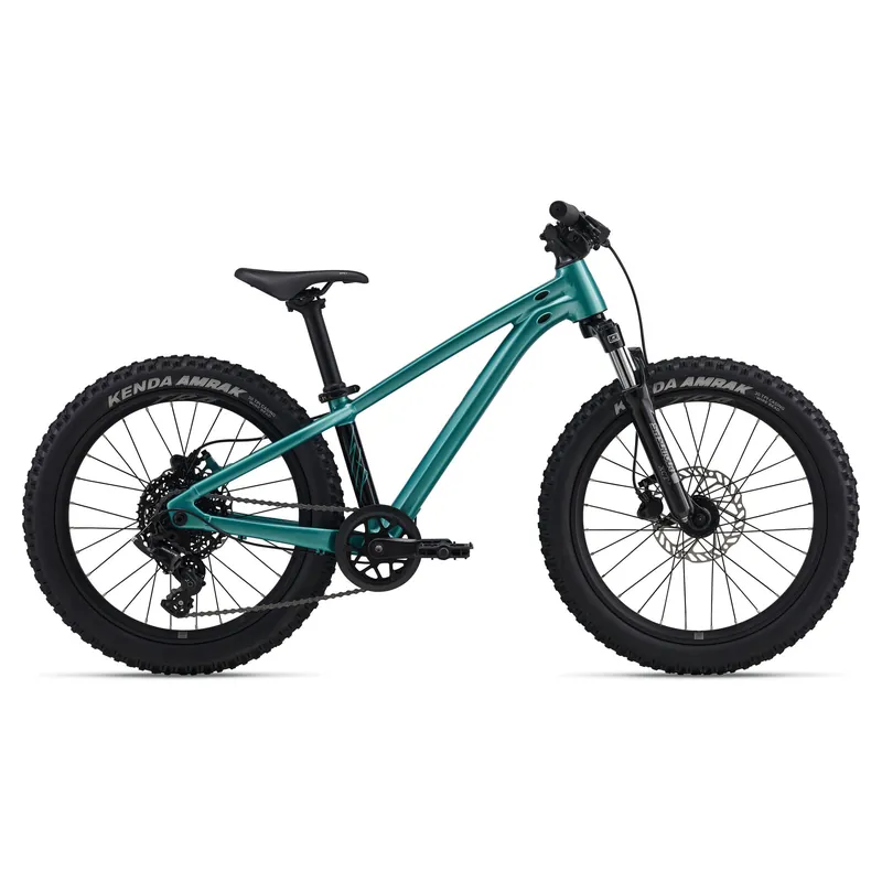 STP 20 FS Bike 2026 - Kids‘