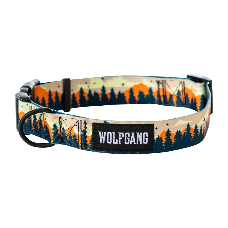 Venture Dog Collar