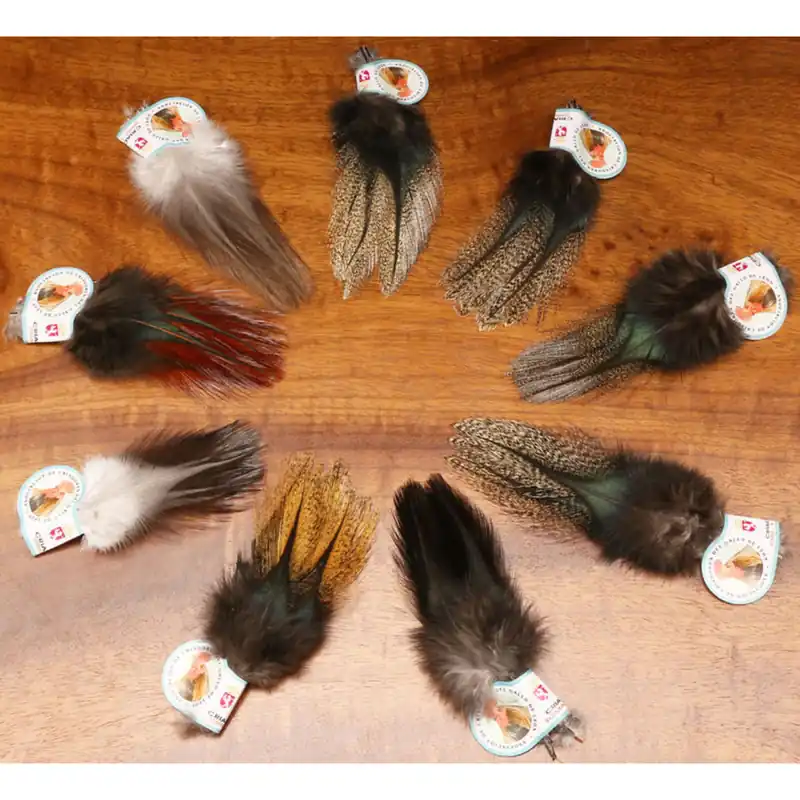 COQ De Leon Feathers