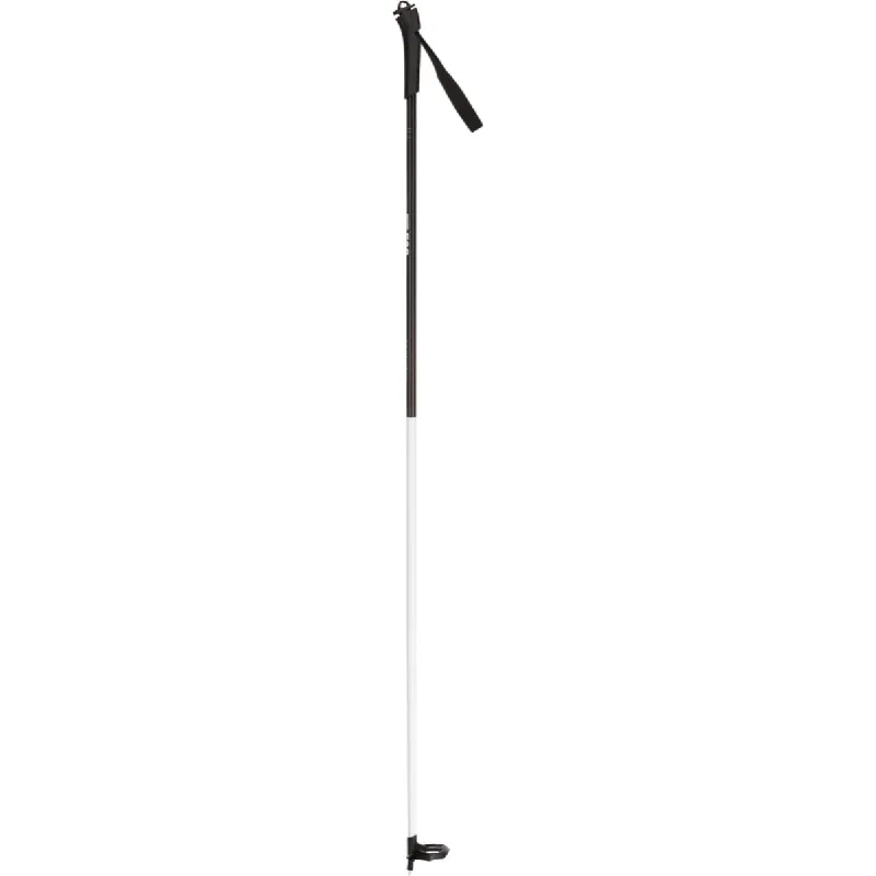 Ft-500 Ski Pole - 2020