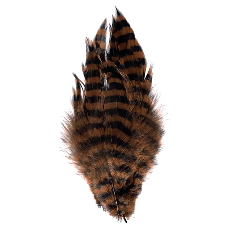 Barred Schlappen Feathers