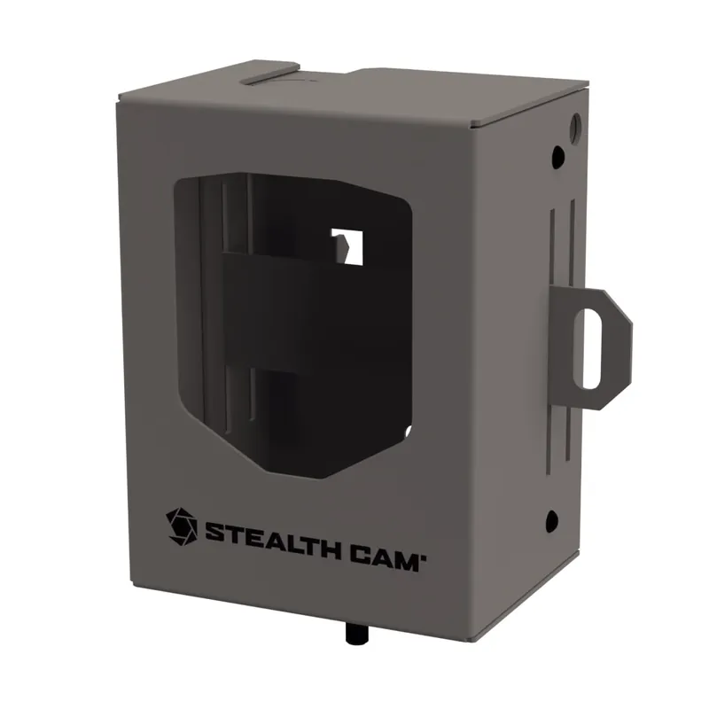 Security Bear Box
