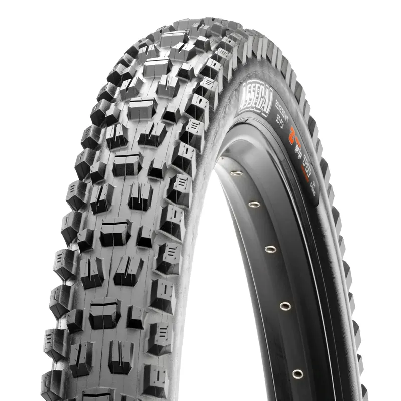 Assegai Mountain Bike Tire
