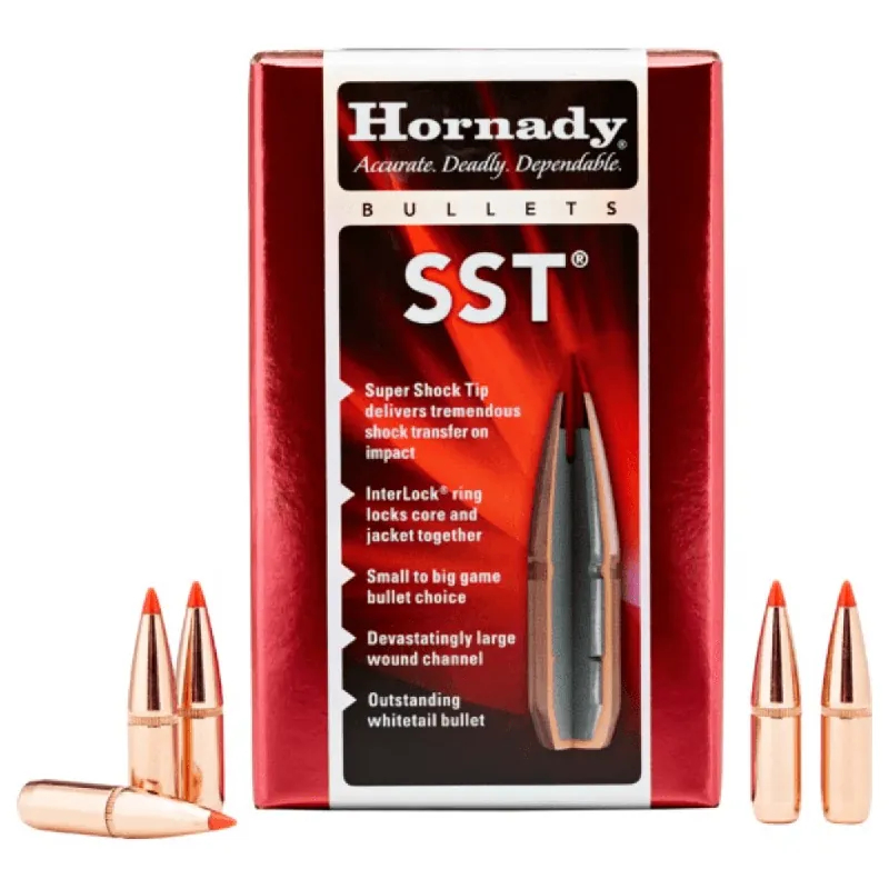 SST Bullets