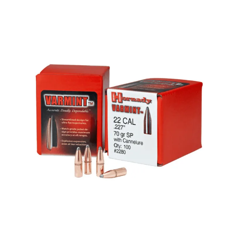 Varmint Bullets