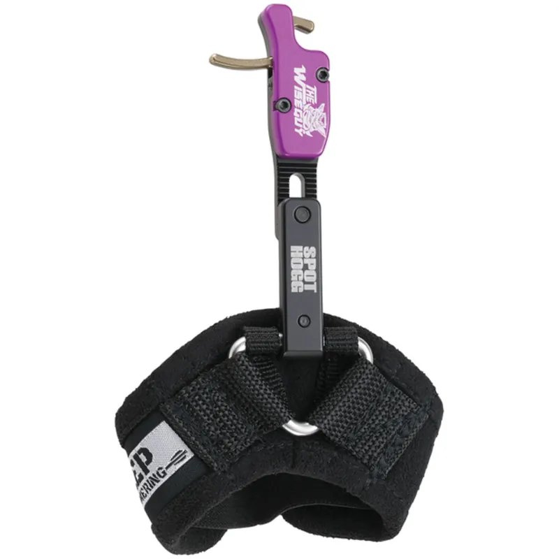 Wiseguy Rigid Cameron Haines Signature Series Boa Strap Release
