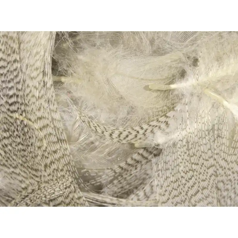 Mallard Flank Feathers