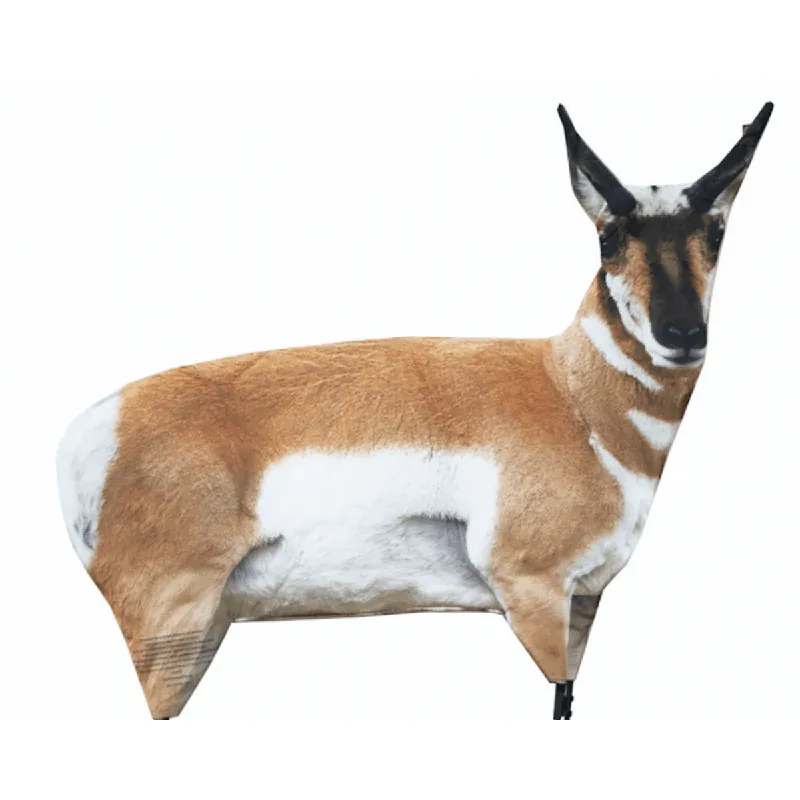 Antelope Buck