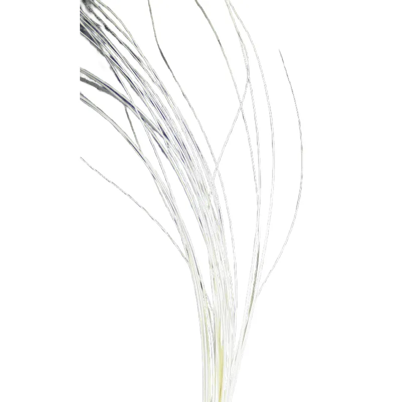Quill Body