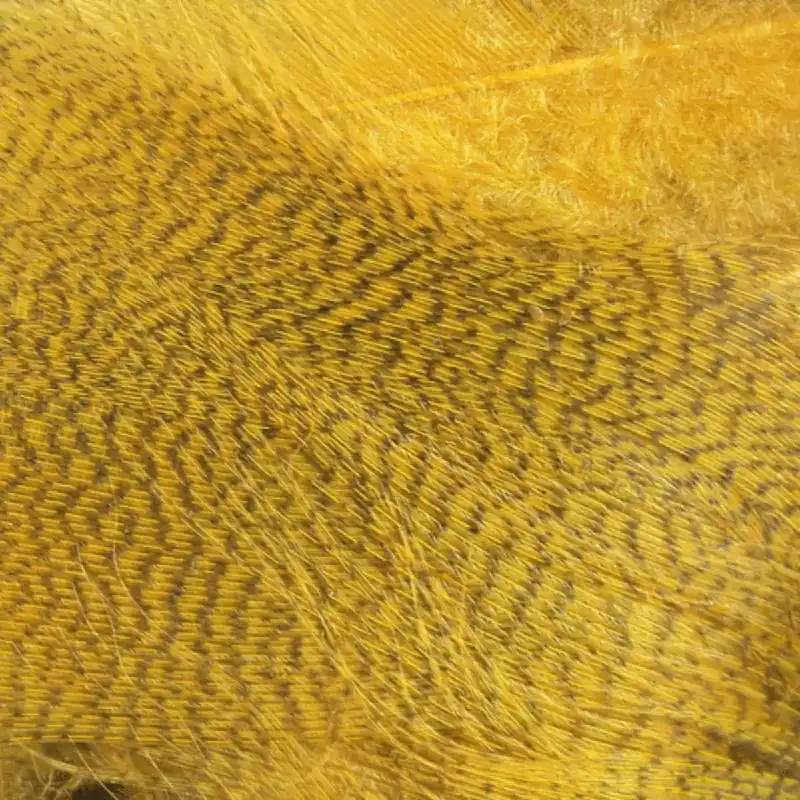 Mallard Flank Feather