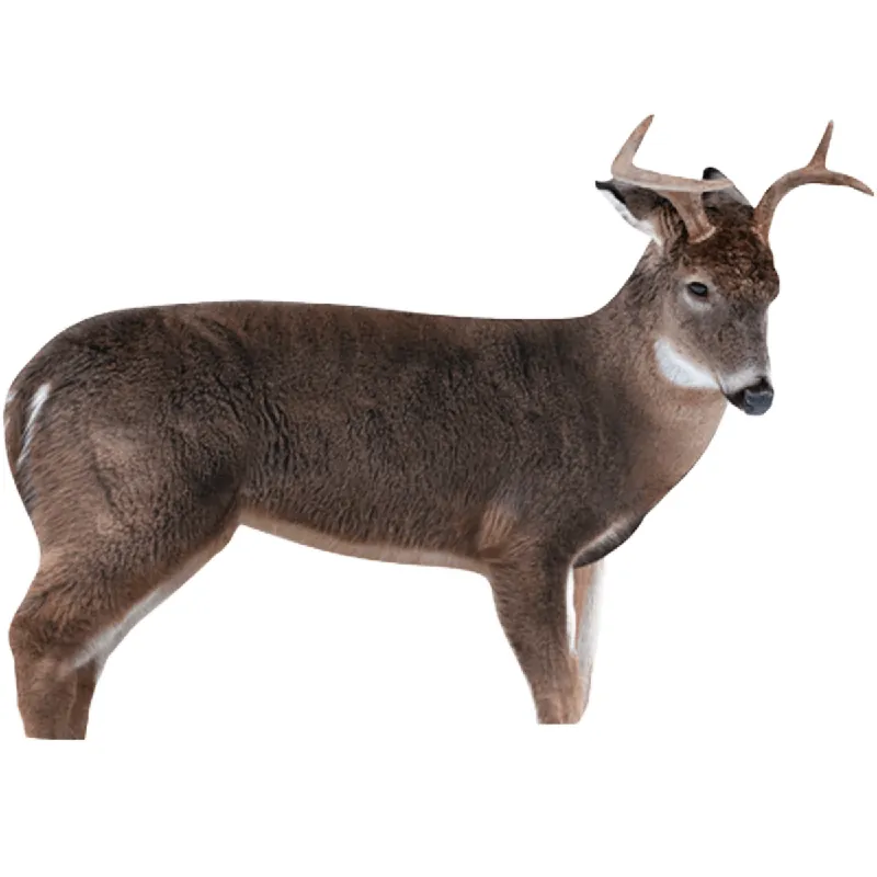 The Freshman Buck Decoy