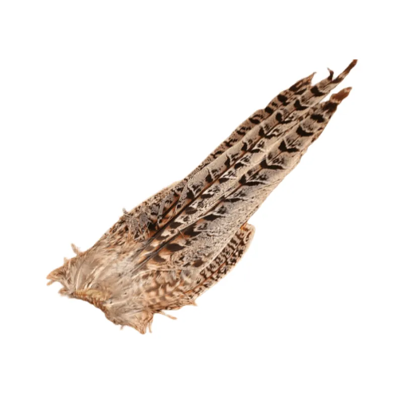Ringneck Hen Pheasant Tail Clump