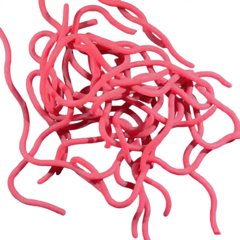 Caster‘s Squirmito Squiggly Worm Material