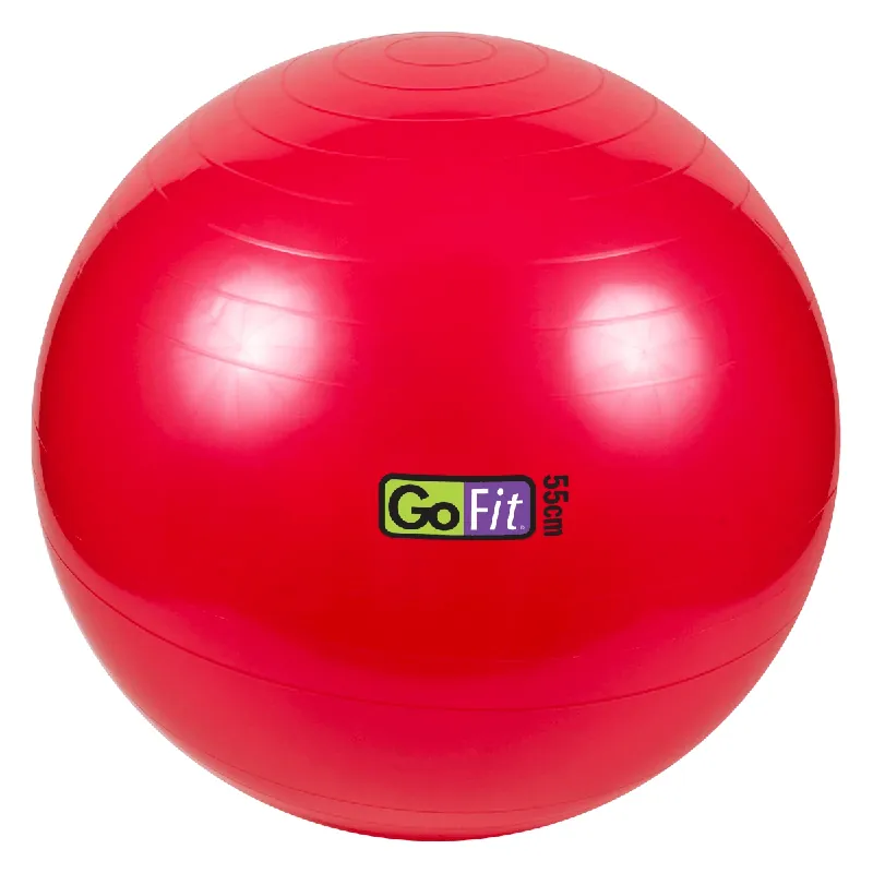 55cm Stability Ball
