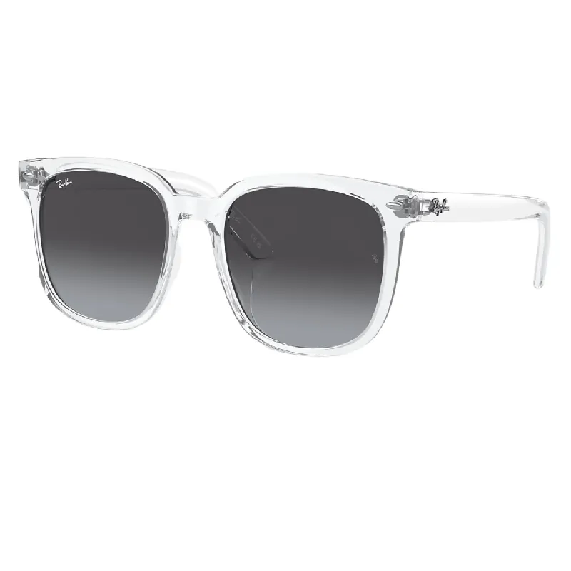 RB4401D Sunglasses