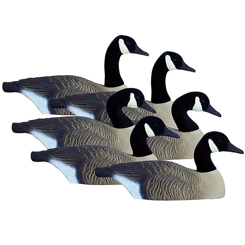 HIGDON 77969 FULL SIZE HALF SHELL CANADA 6 PACK