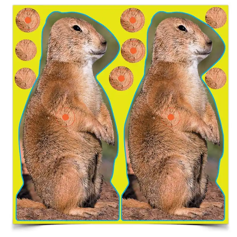 Birchwood Casey Shoot-N-C Prairie Chuck 8in Targets Package of 12, 34786