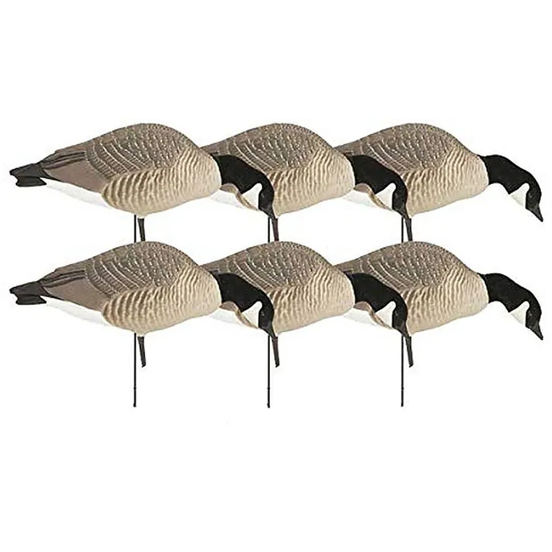 GHG 71596 HUNTER SERIES CANADIAN FEEDER 6 PACK