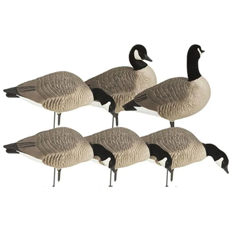 GHG 71597 HUNTER SERIES CANADIAN HARVESTER 6 PACK