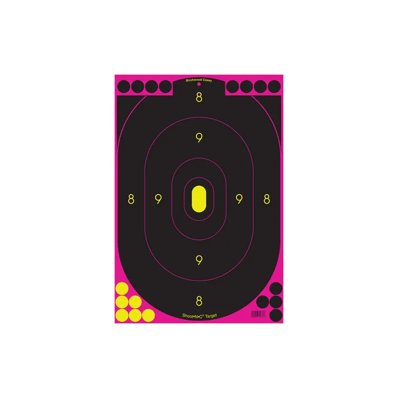 Birchwood Casey Shoot-N-C 12x18 Pink Target