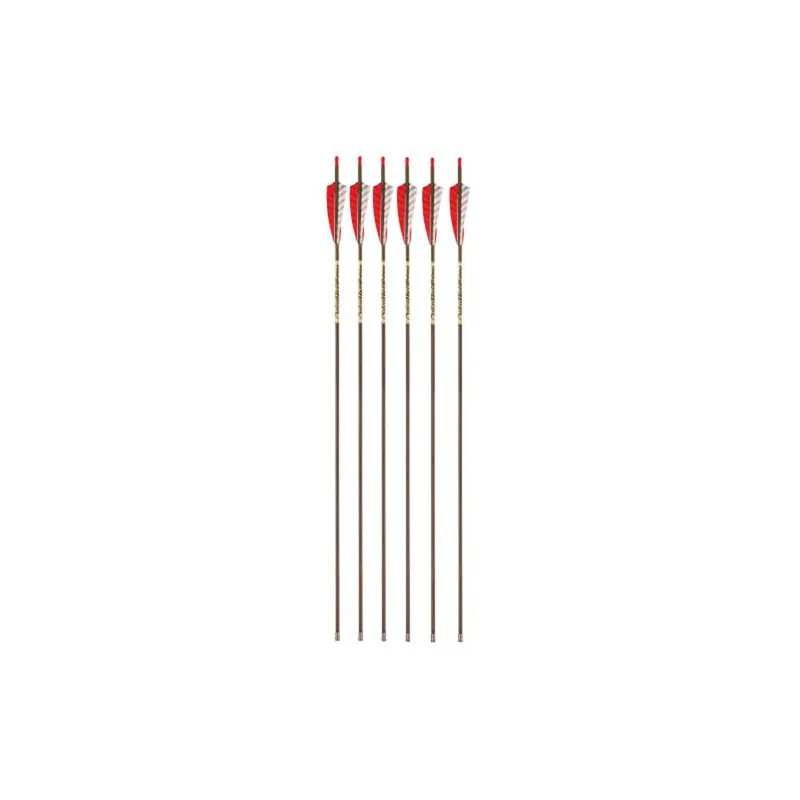 Victory Carbon Trad Sport Arrow 550 4In Feathers 6Pk
