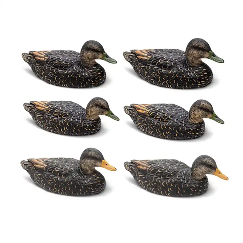 Rig‘Em Right Mainline Series Black Duck 6 Pack