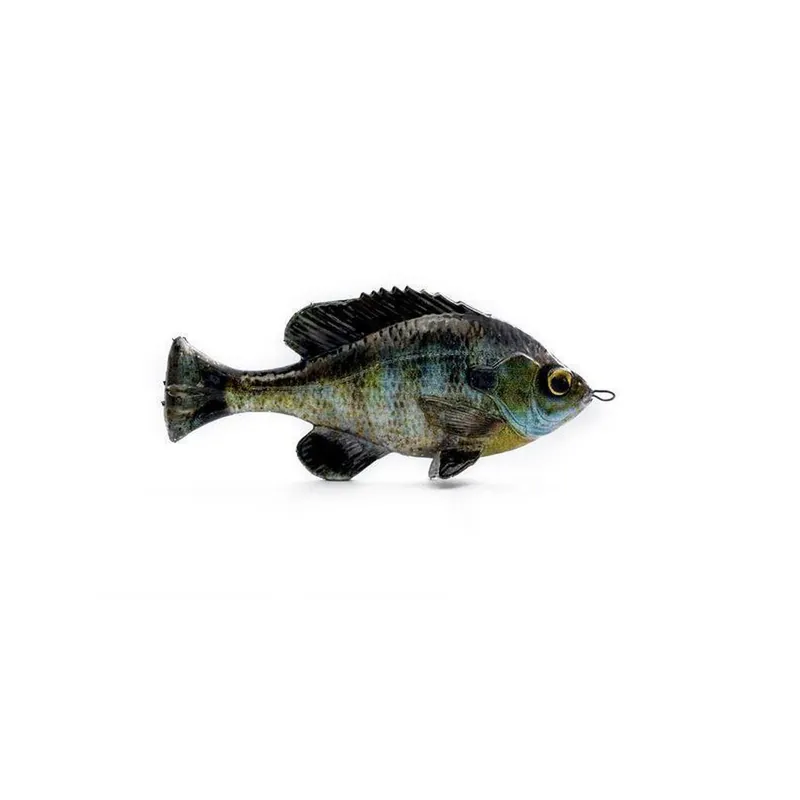 SAVAGE GEAR 4″ PULSE TAIL BLUEGILL - LOOSEBODY Light Brown Ghost Gill 4"