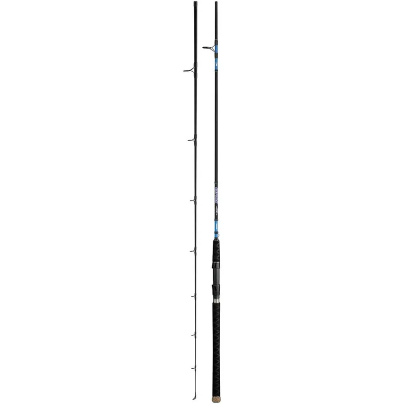Daiwa Beefstick Salmon Steelhead Striper Spinning Rod Black 10‘