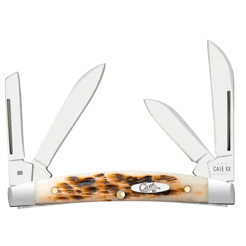 Case XX Small Congress Jigged Amber Bone Stainless Folding Pocket Knife