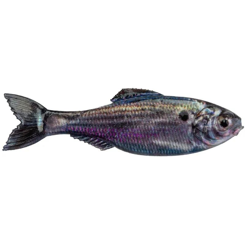 6th Sense Panorama Softbait 5" Live Threadfin Shad