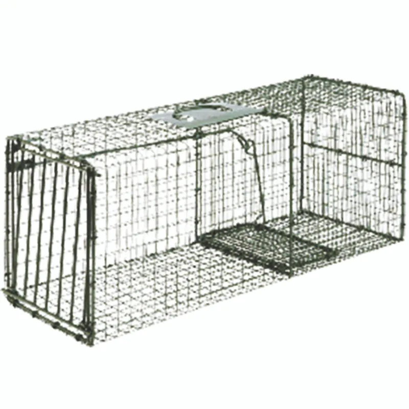 STERLING 1230 12X12X30 SUREFIRE LIVE TRAP