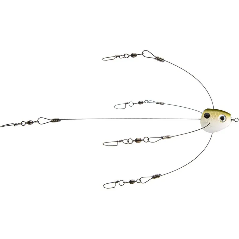 Strike King Titanium Rig Tennessee Shad Short