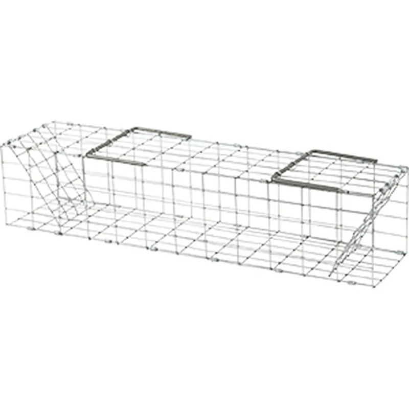 STERLING FUR 5X5X24 LIVE TRAP